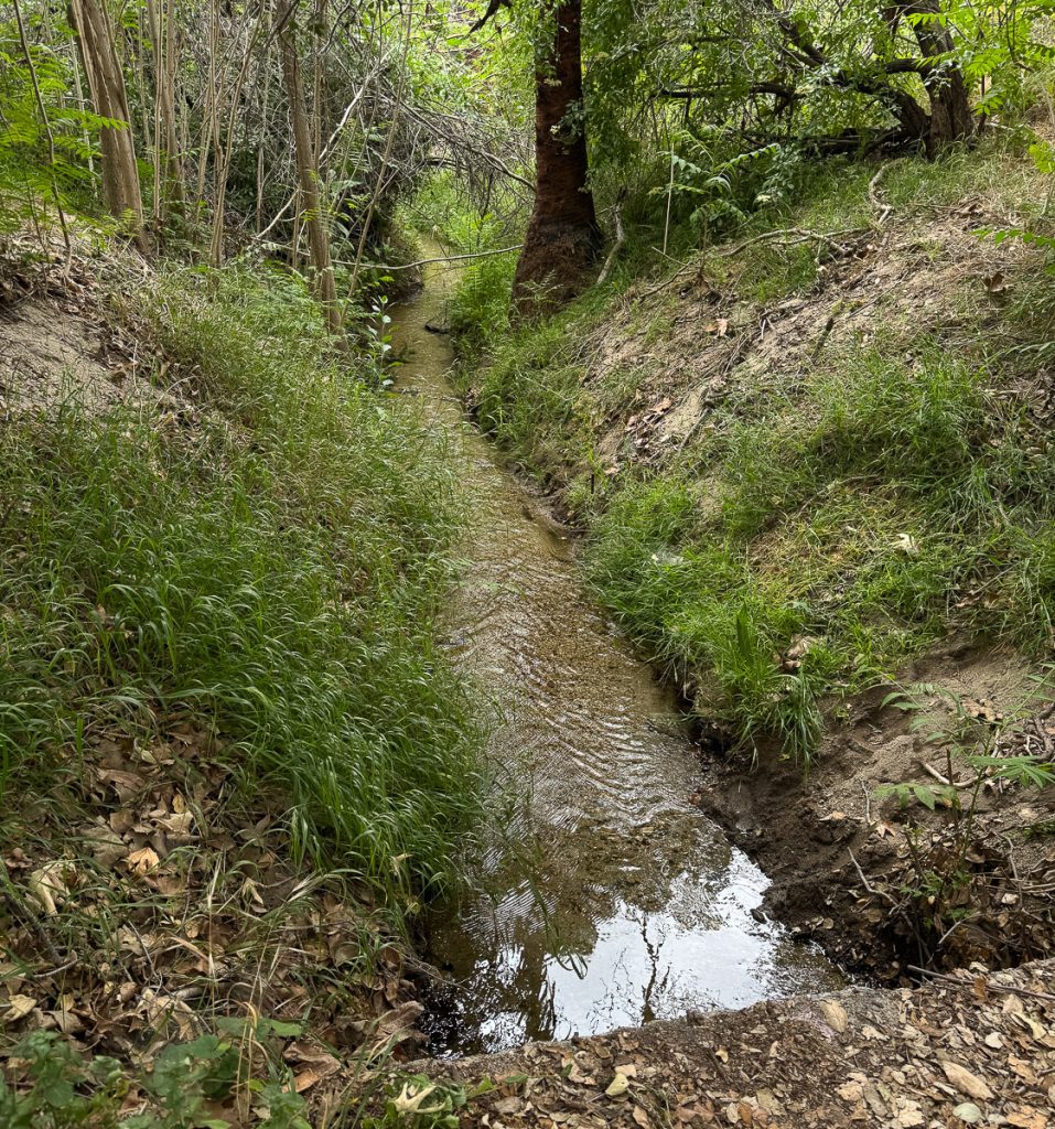 San Passcual Site