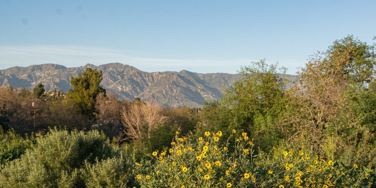 Nature Park View