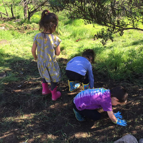 Young volunteers at the park