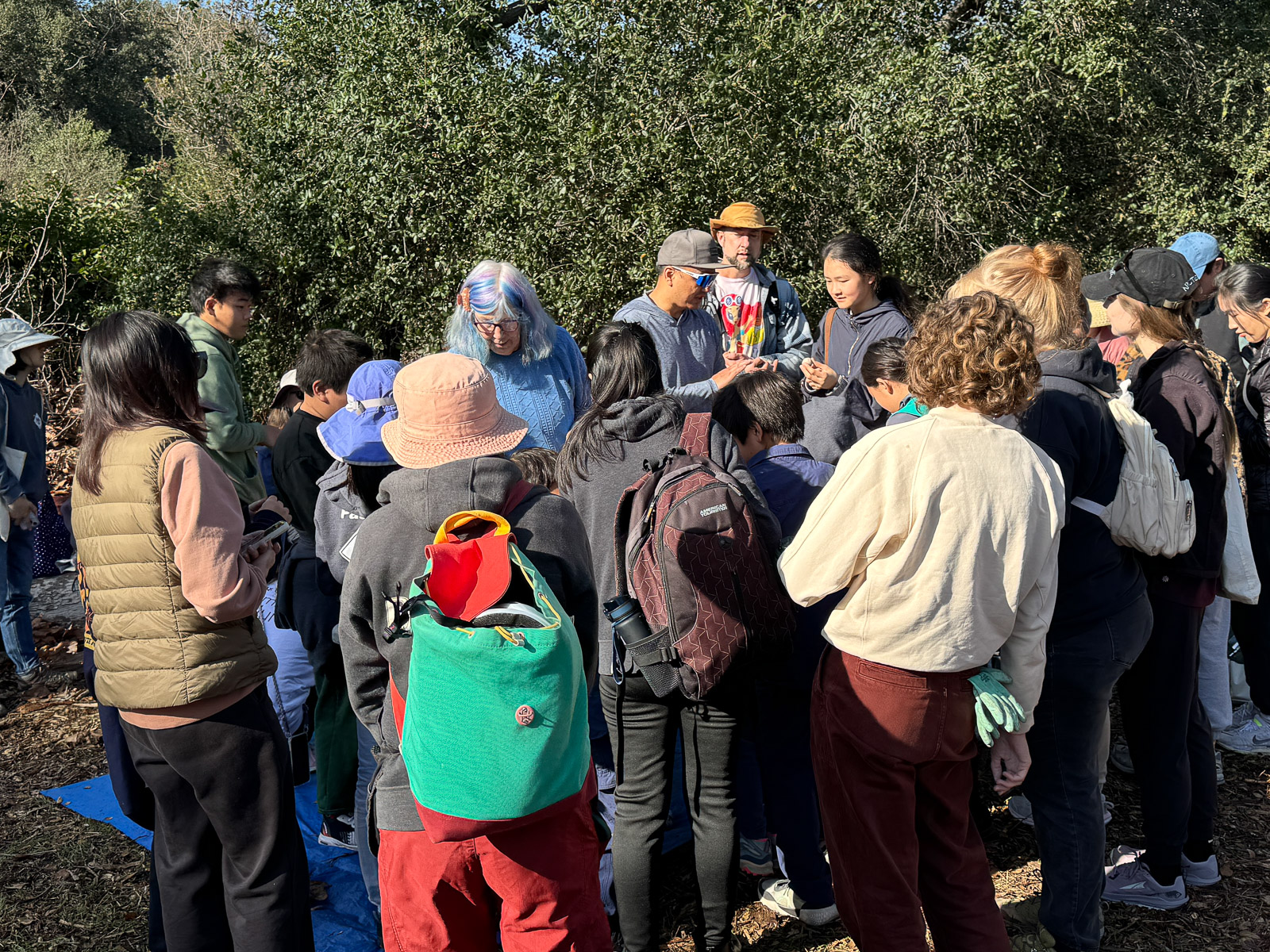 Wildflower Workshop