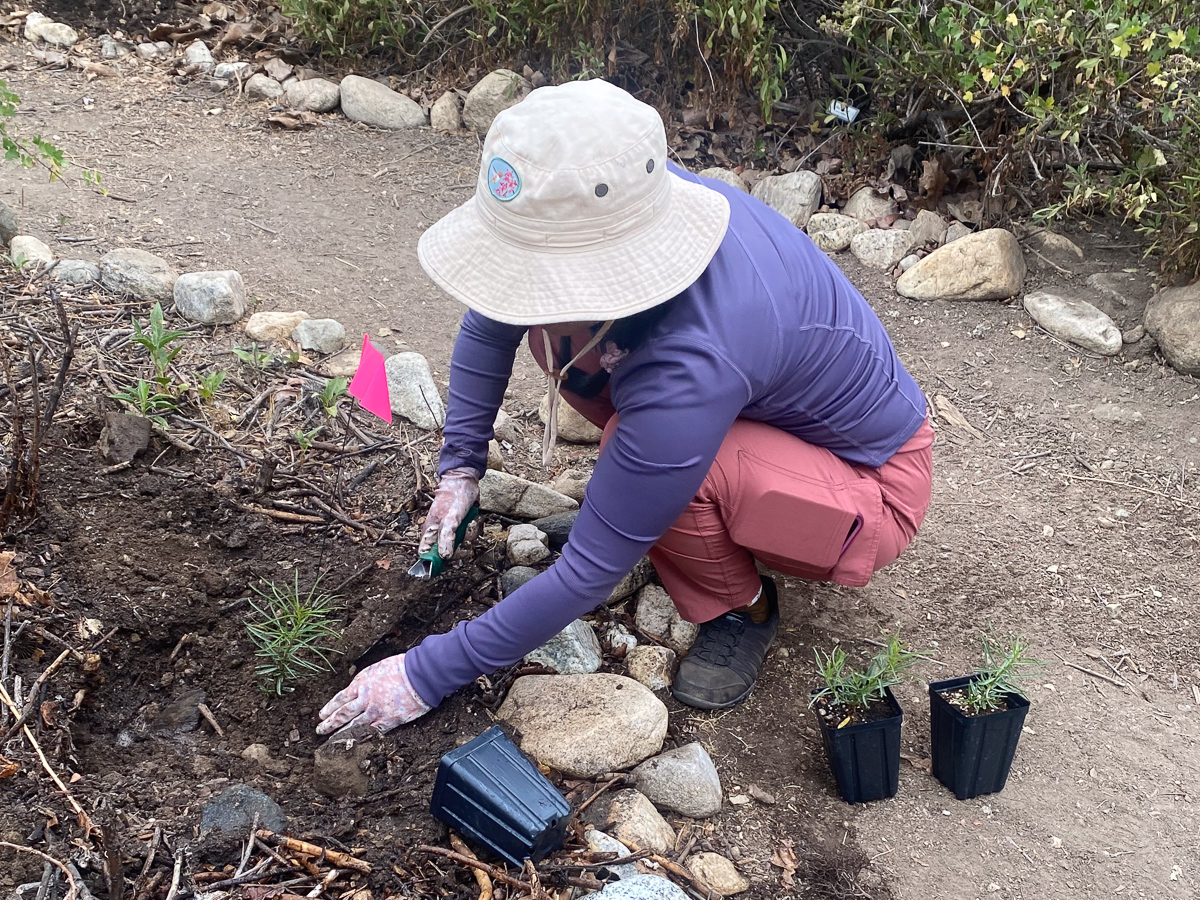 Nature Park News – June
