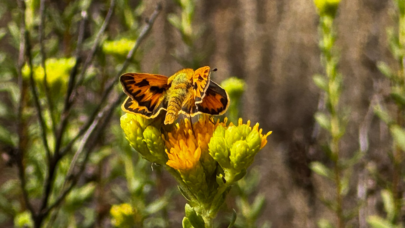 Nature Park News-September