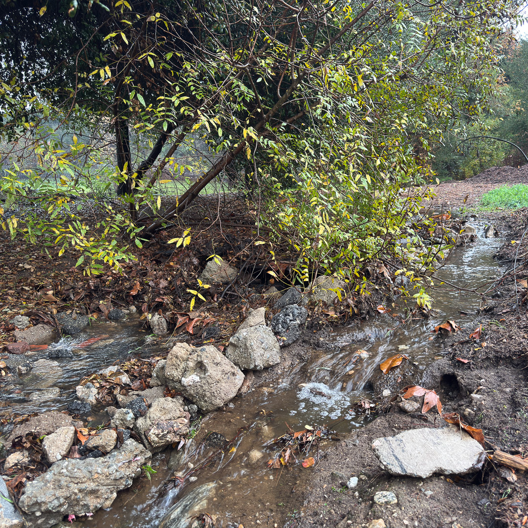Water flows where rain garden will be made