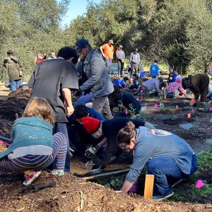 Nature Park News – March