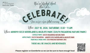 Celebration Invitation