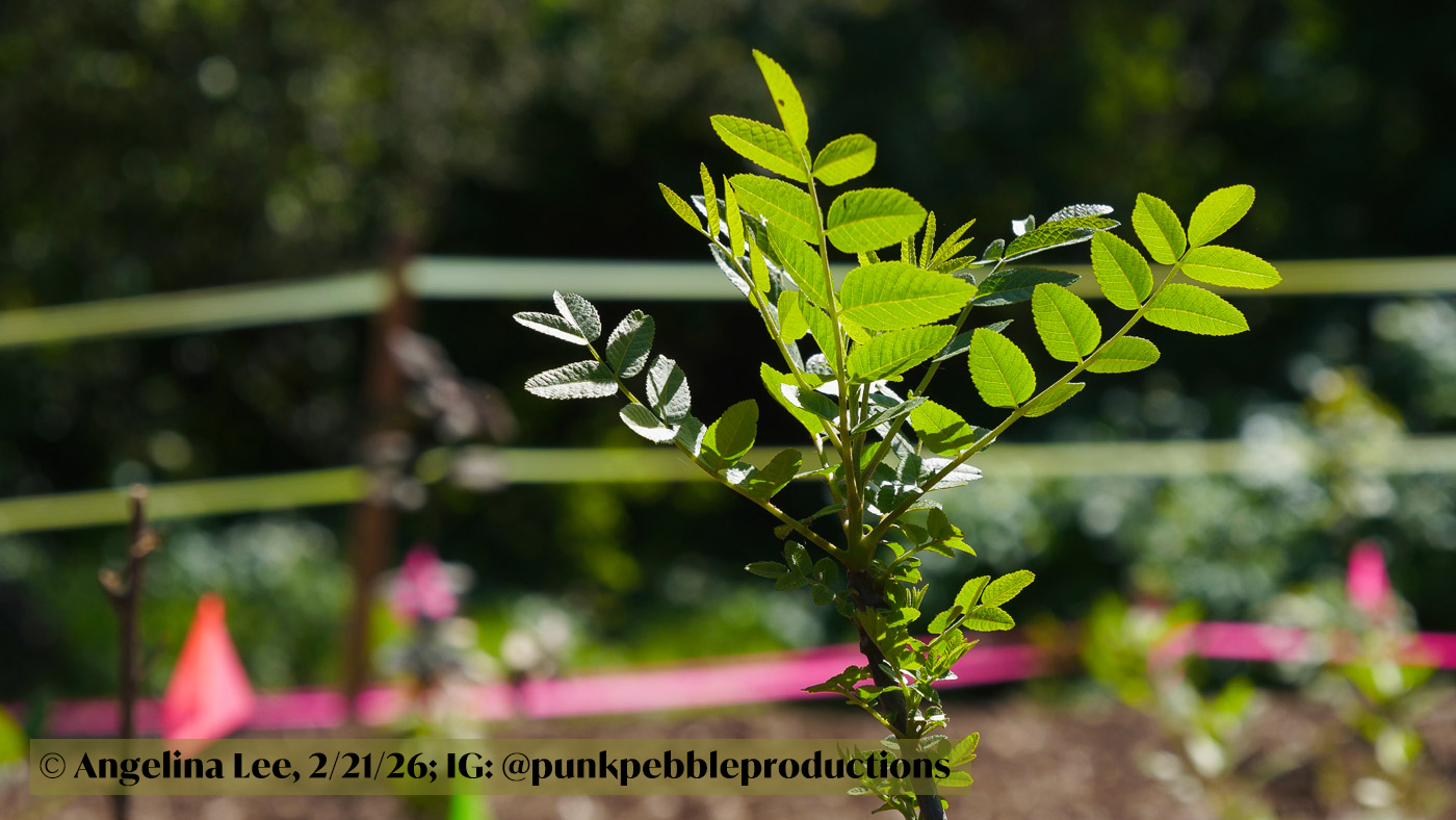 Nature Park News – June