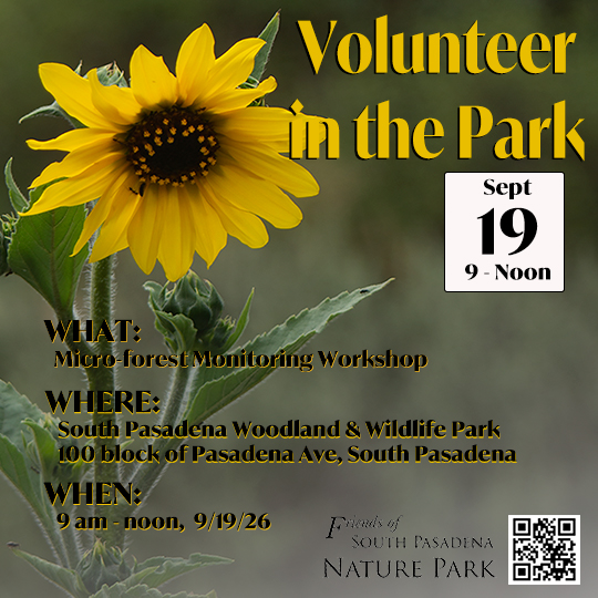Volunteer Day Announcement